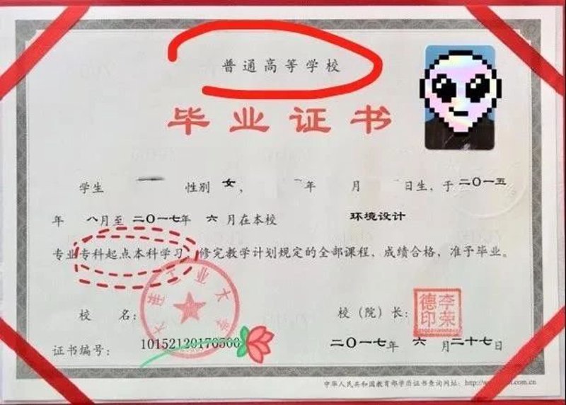 成人高考报名：线上平台与传统渠道的对比评测
